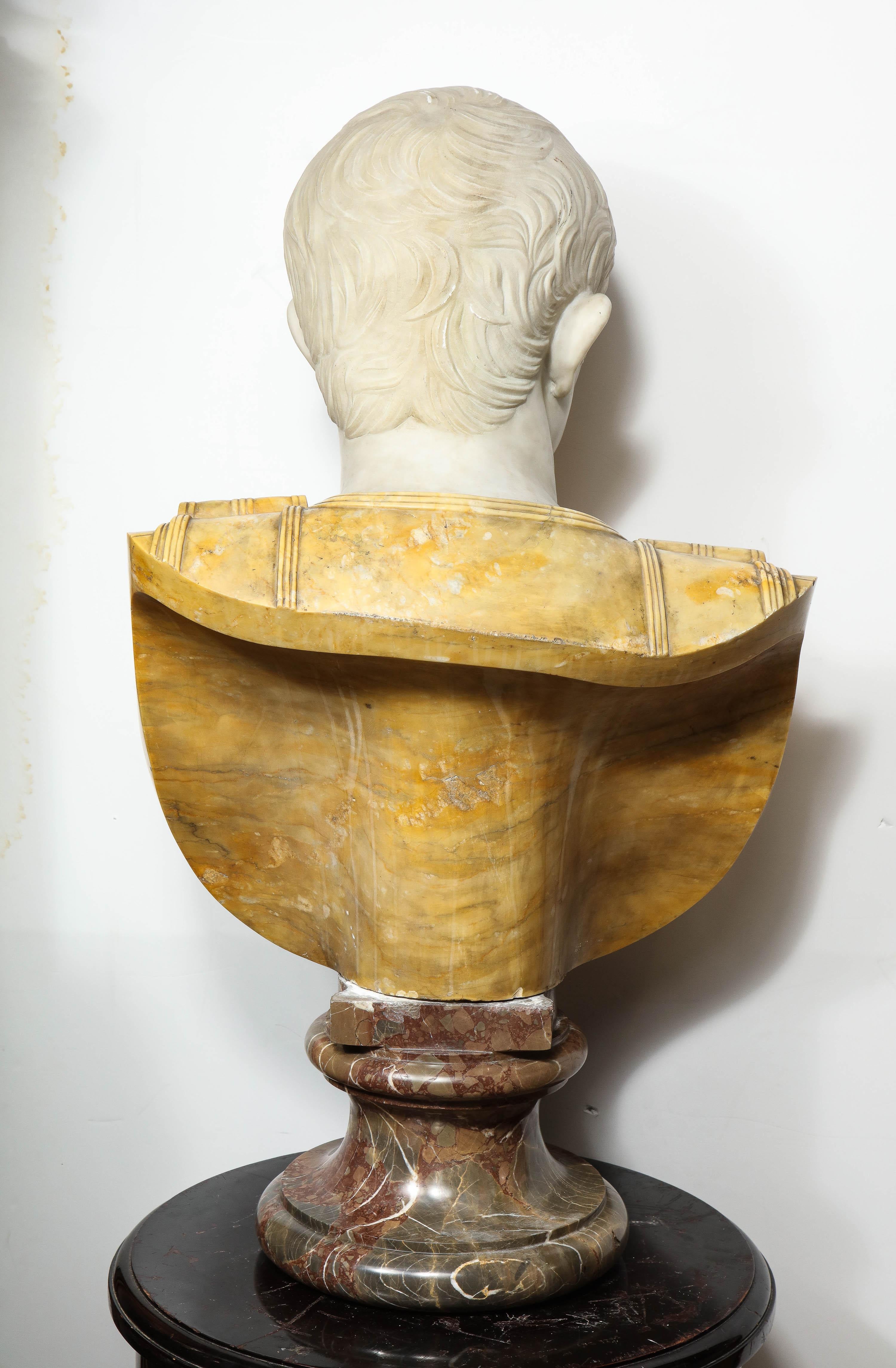 Museum Quality Carrara and Sienna Marble Bust of Julius Augustus Caesar, 1850 2