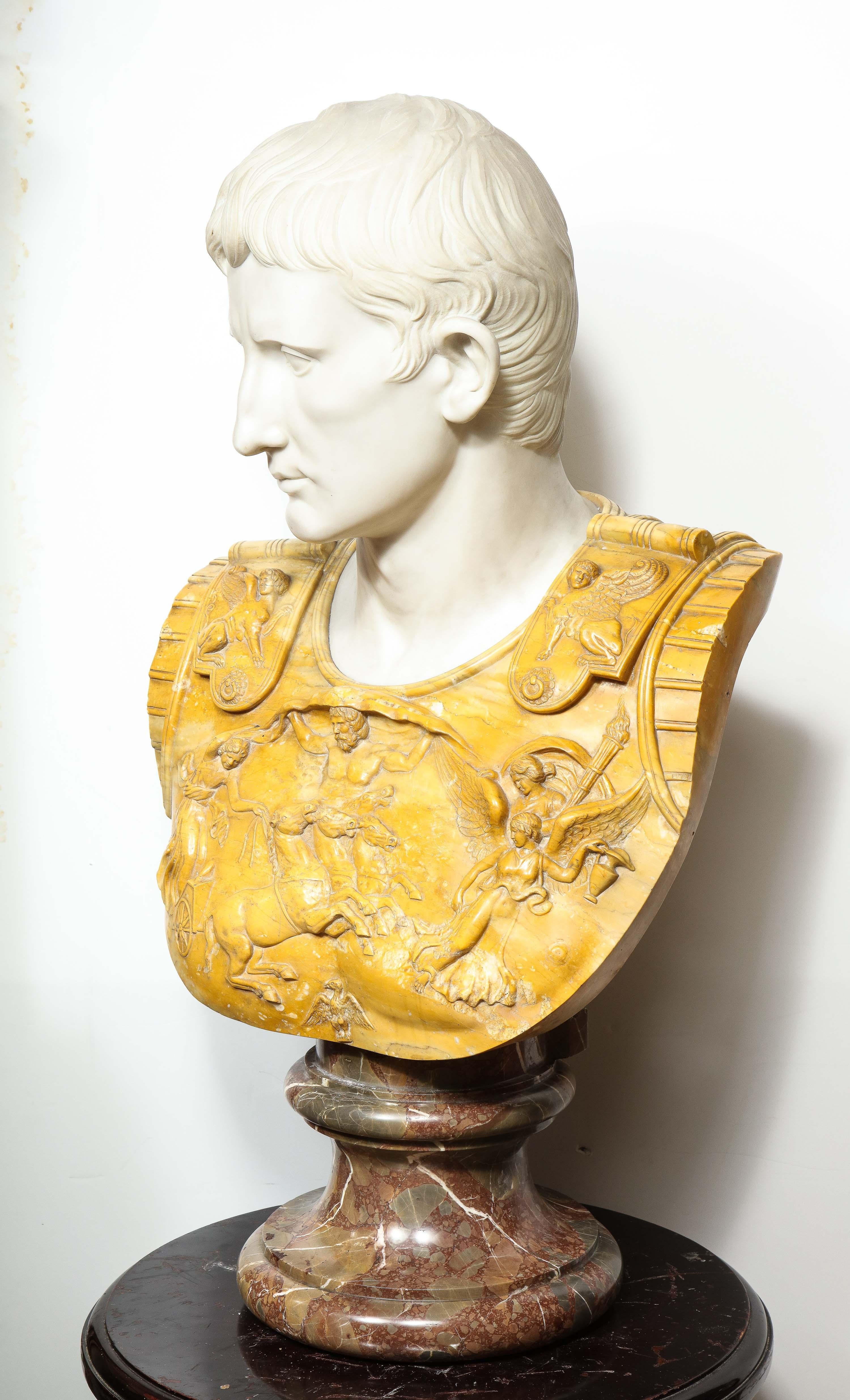 Museum Quality Carrara and Sienna Marble Bust of Julius Augustus Caesar, 1850 5