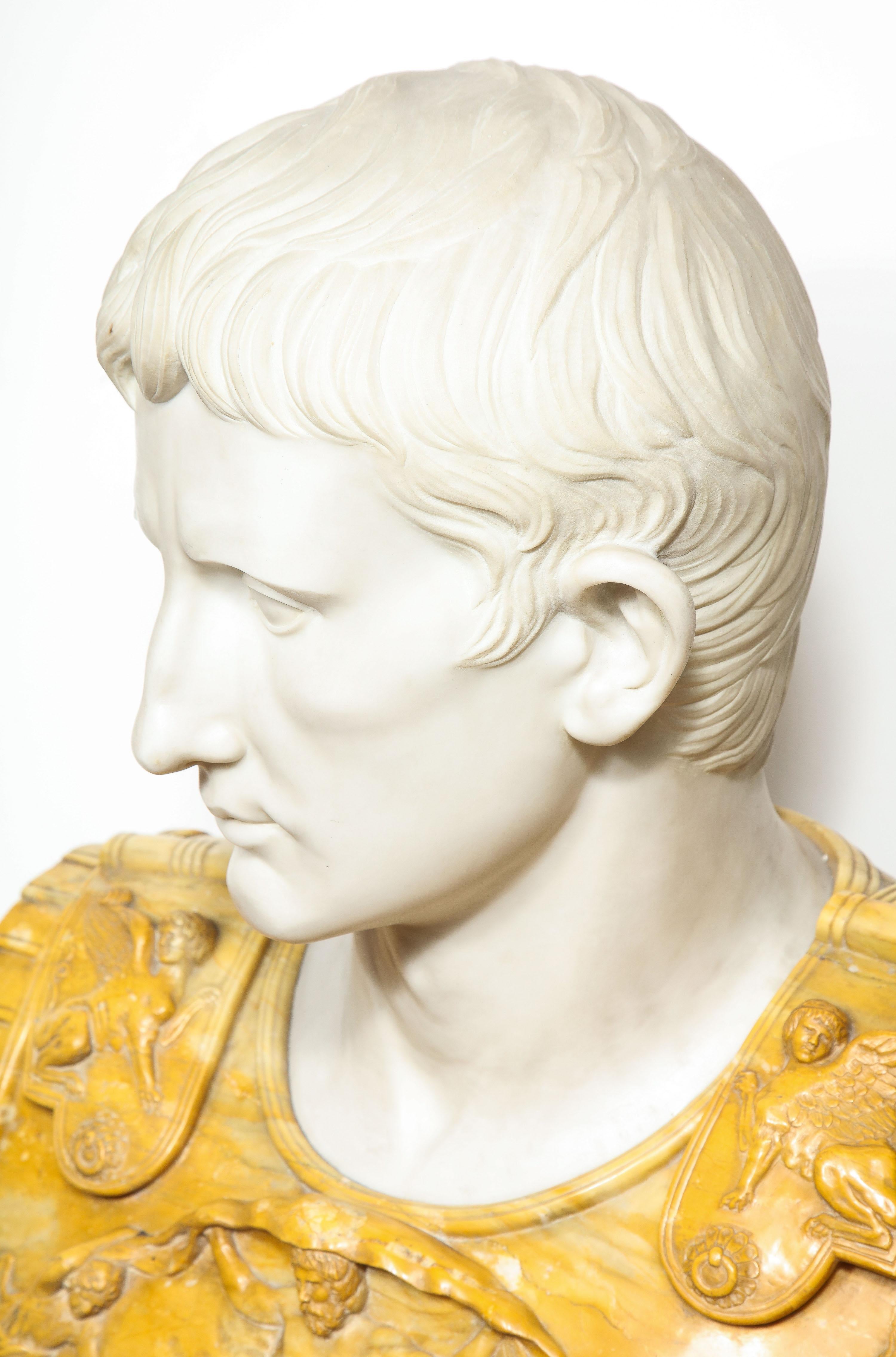 Museum Quality Carrara and Sienna Marble Bust of Julius Augustus Caesar, 1850 6