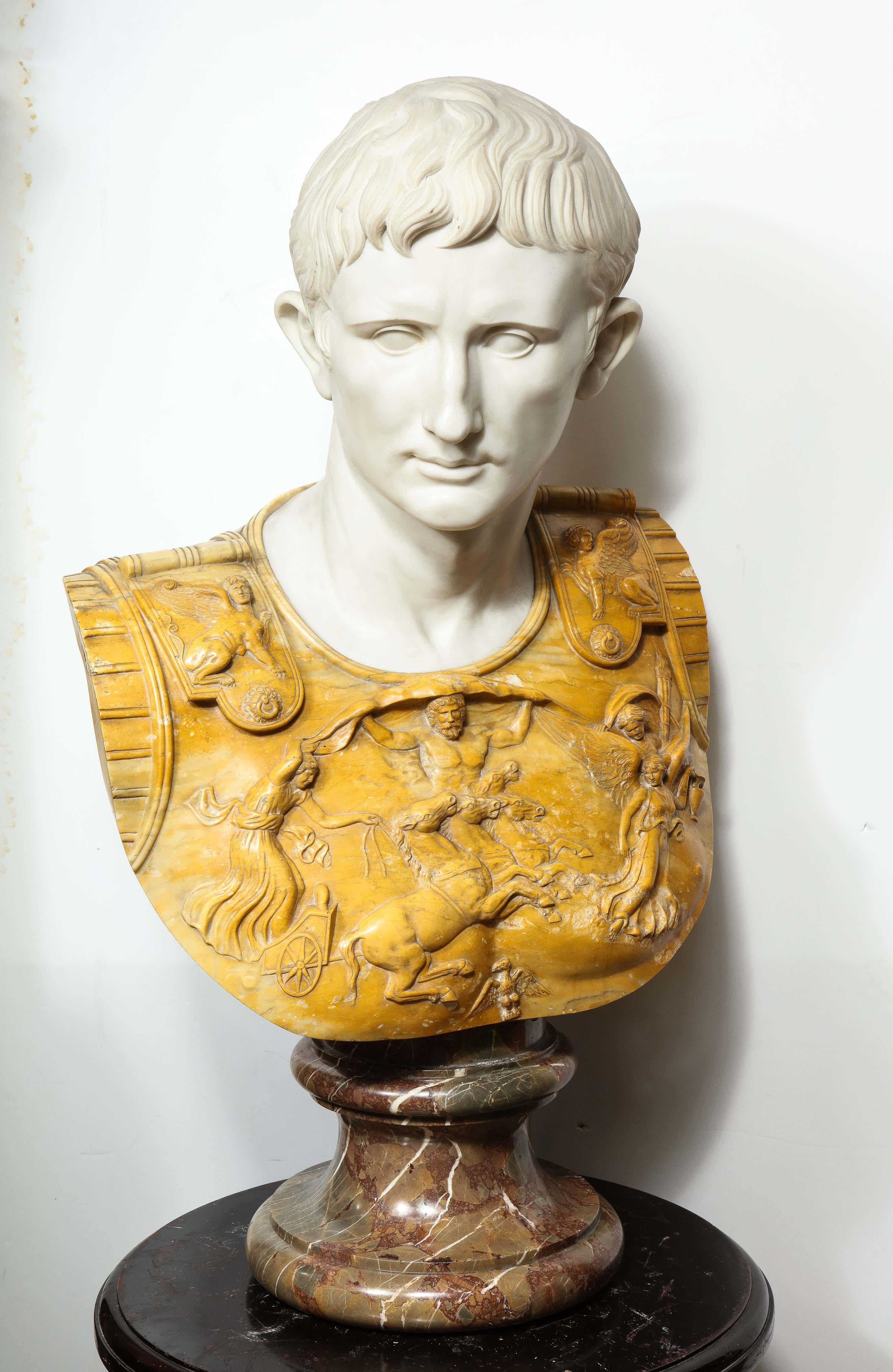 A museum quality Grand Tour, neoclassical white Carrara and Sienna marble bust of Roman Emperor Julius Augustus Caesar, Rome, 1850.

This extremely powerful and large-scale bust of Julius Augustus Caesar is made from the fines quality marbles