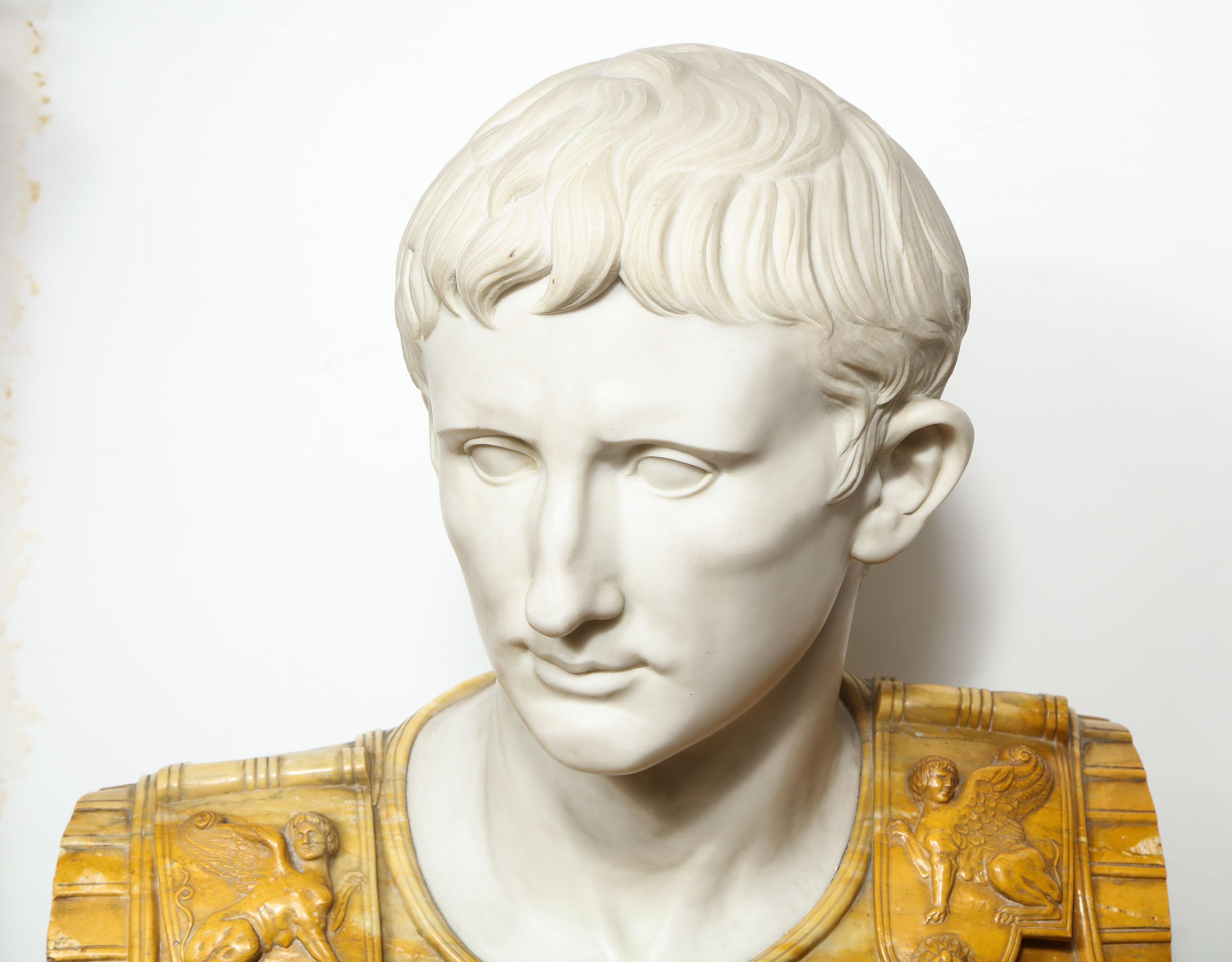 Museum Quality Carrara and Sienna Marble Bust of Julius Augustus Caesar, 1850 10