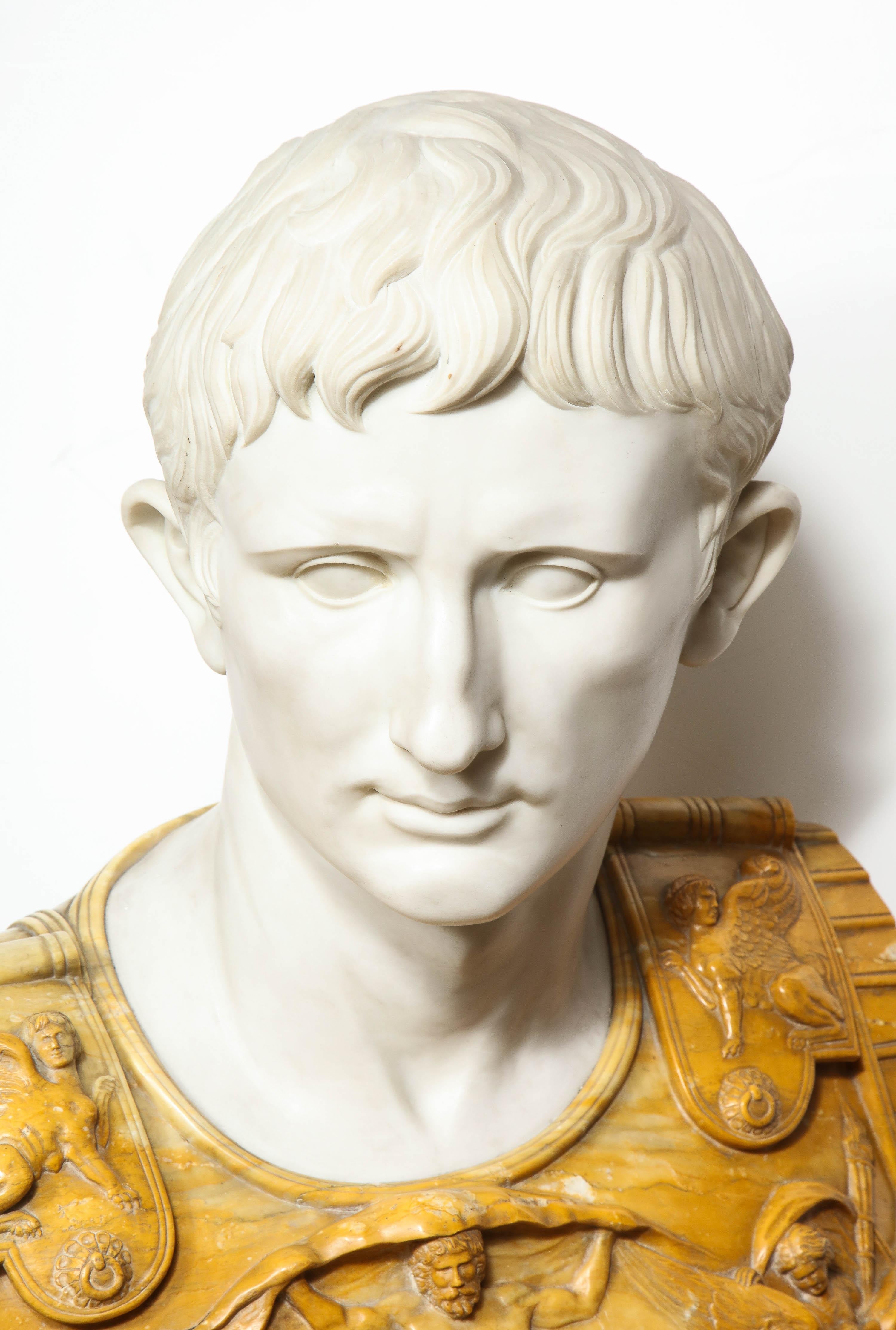 Italian Museum Quality Carrara and Sienna Marble Bust of Julius Augustus Caesar, 1850