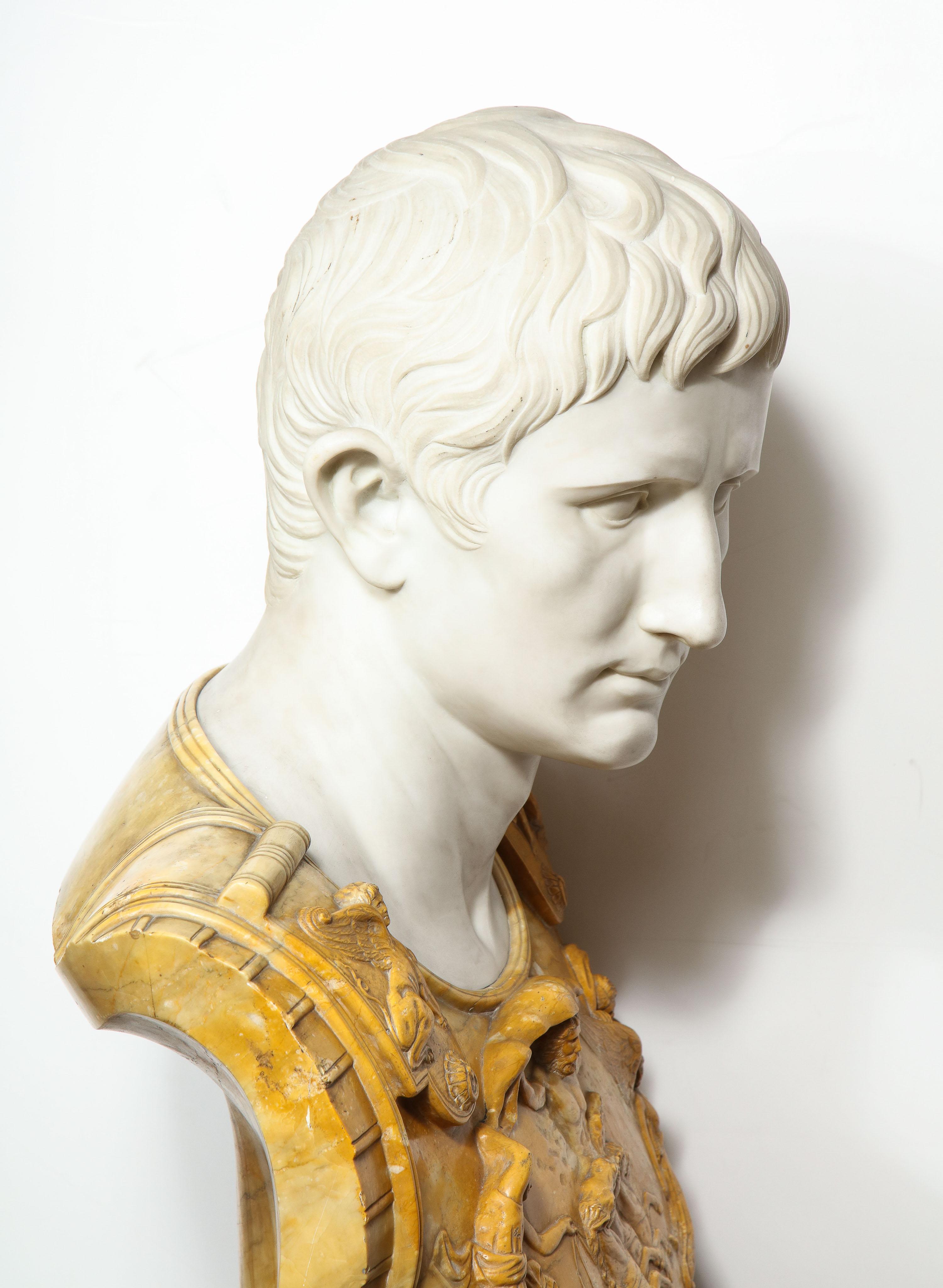 19th Century Museum Quality Carrara and Sienna Marble Bust of Julius Augustus Caesar, 1850