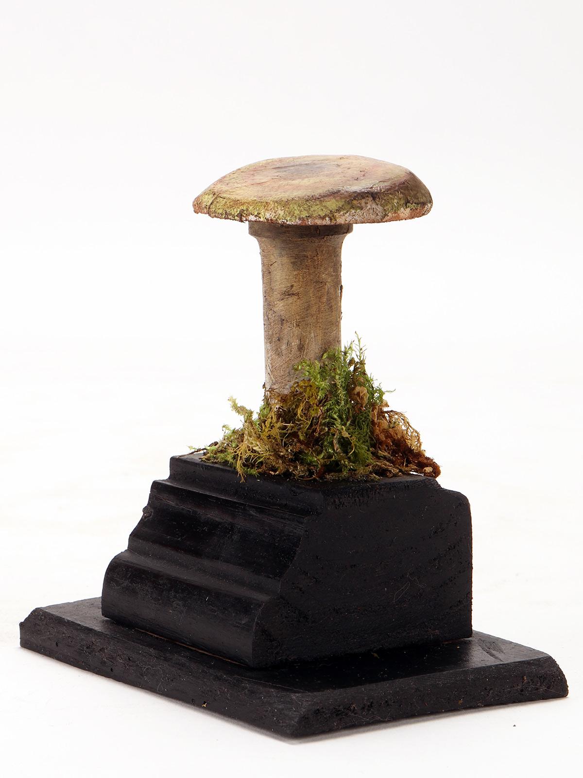 A diorama with 7 botanical models of various species of mushrooms, educational use, made of painted plaster and paper mache, mounted on rectangular wooden bases in black with moss and hay. The models are placed inside a black laquered wooden case,