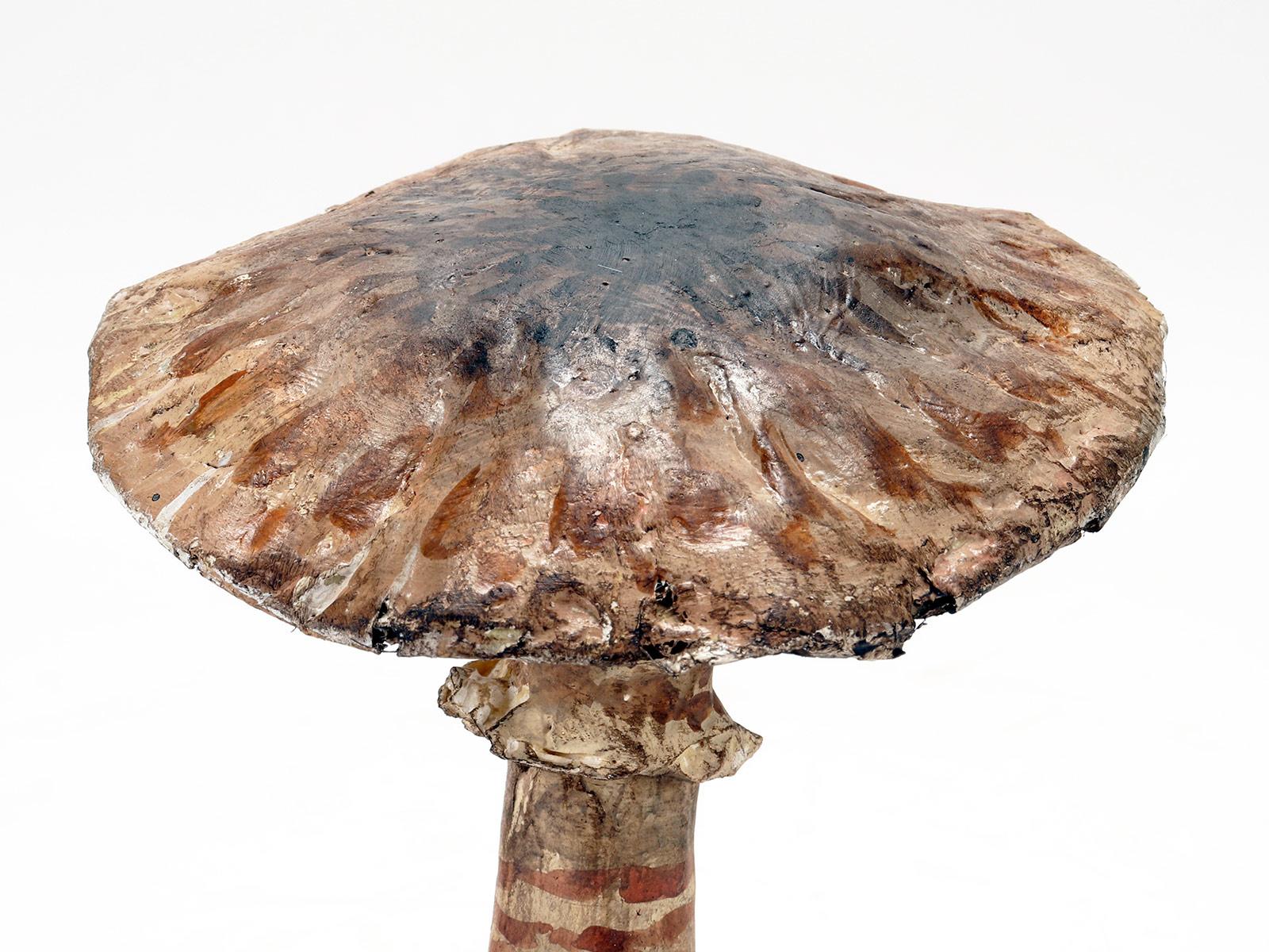 Mushroom 'from a Group of 7', Italy 1900 In Good Condition In Milan, IT