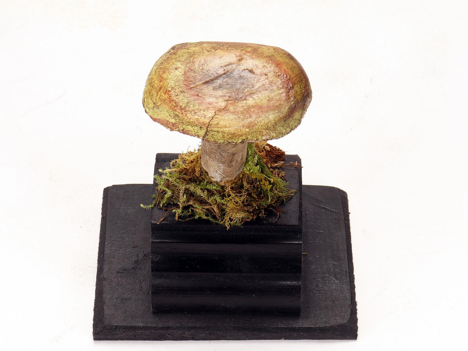 Mushroom 'from a Group of 7', Italy, 1900 In Good Condition In Milan, IT