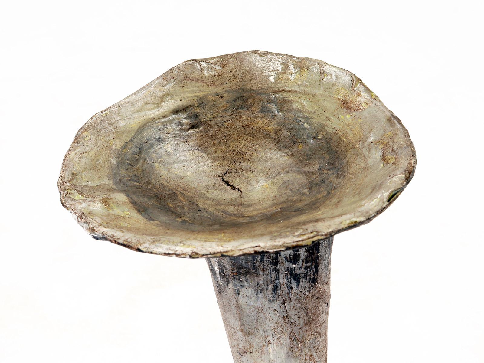 20th Century Mushroom 'from a Group of 7', Italy 1900