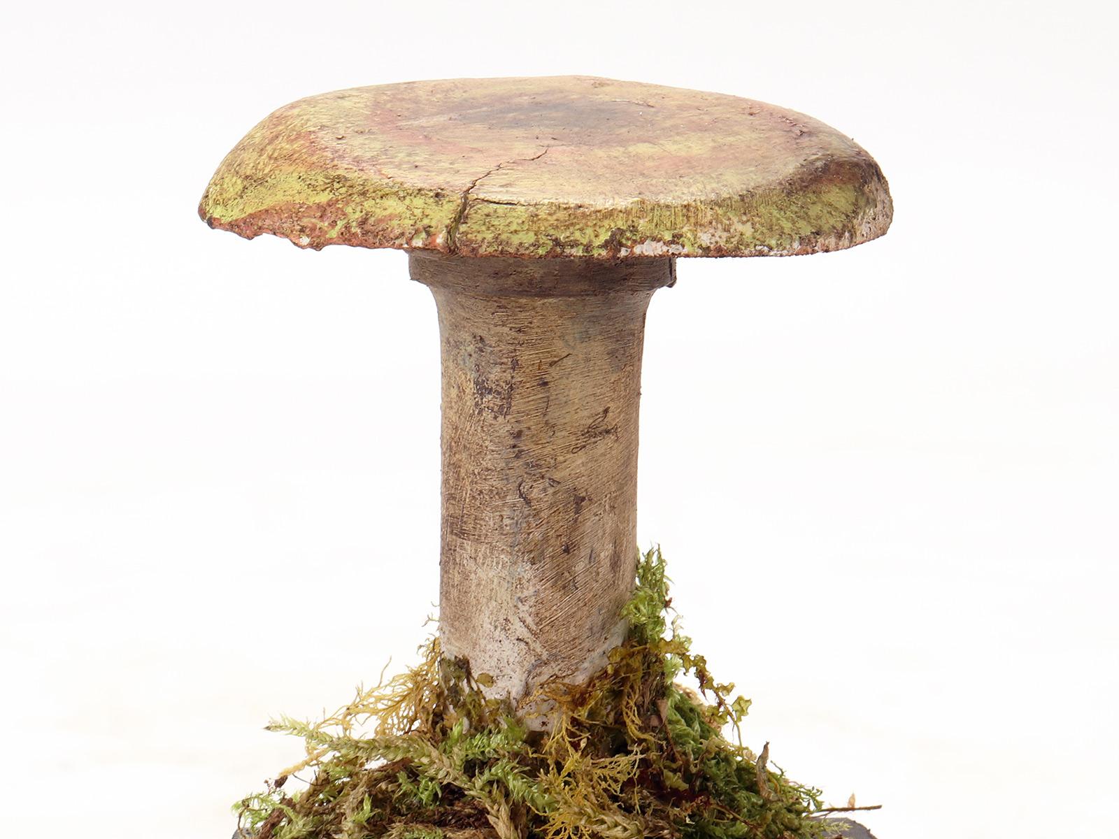 20th Century Mushroom 'from a Group of 7', Italy, 1900
