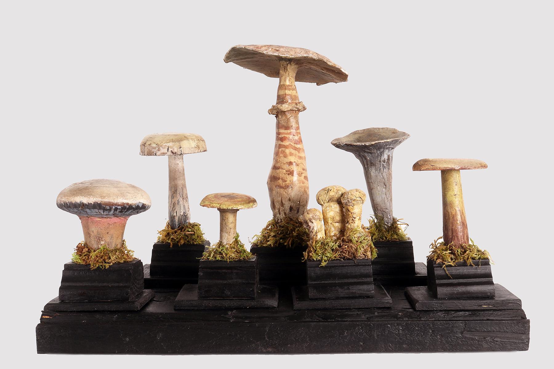 Plaster Mushroom 'from a Group of 7', Italy 1900