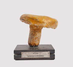 Mushroom Model, France 1890