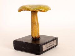 Mushroom Model, France 1890