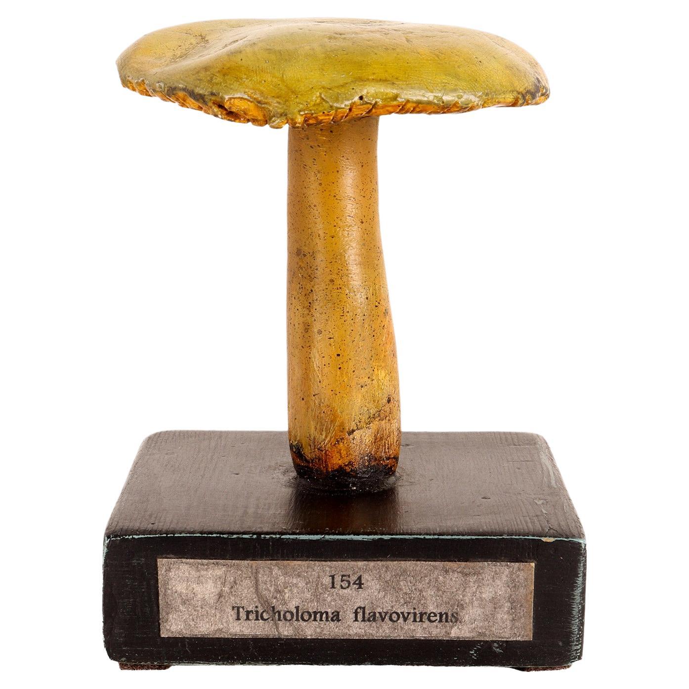 Mushroom Model, France 1890