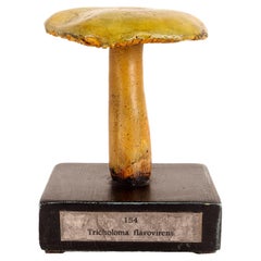 Mushroom Model, France 1890