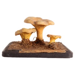 Mushroom Model, Germany 1890