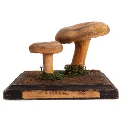 Antique Mushroom Model, Germany 1890