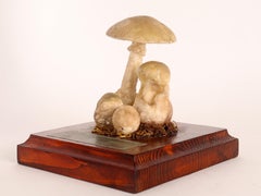 Modèle champignon, Allemagne, 1950