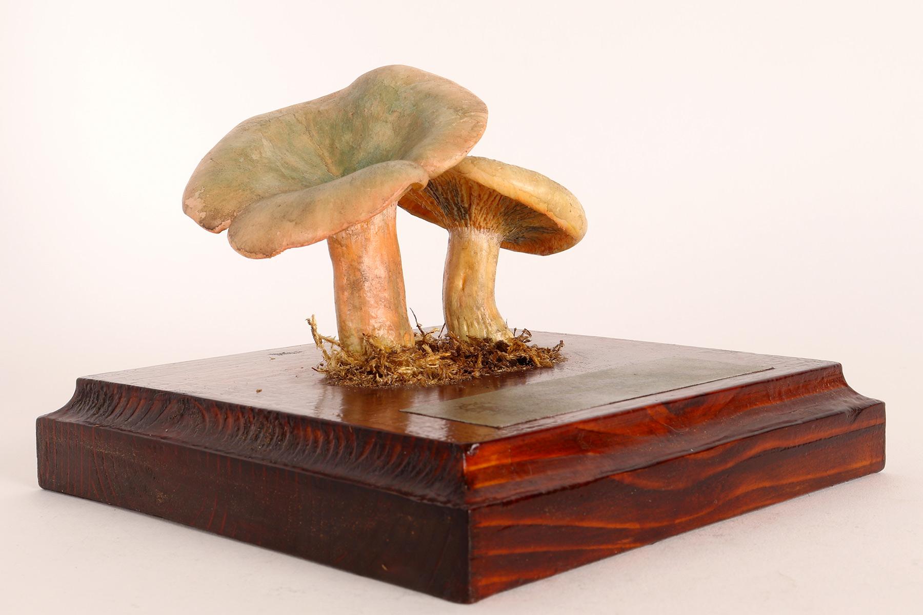 Mushroom Model, Germany 1950 In Good Condition In Milan, IT