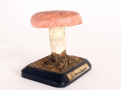A mushroom model, Italy 1890.