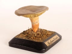 Mushroom Model, Italy, 1890