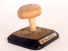 Mushroom Model, Italy, 1890