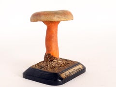 Mushroom Model, Italy, 1890