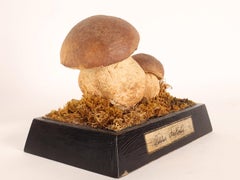 A mushroom model, Italy 1890.