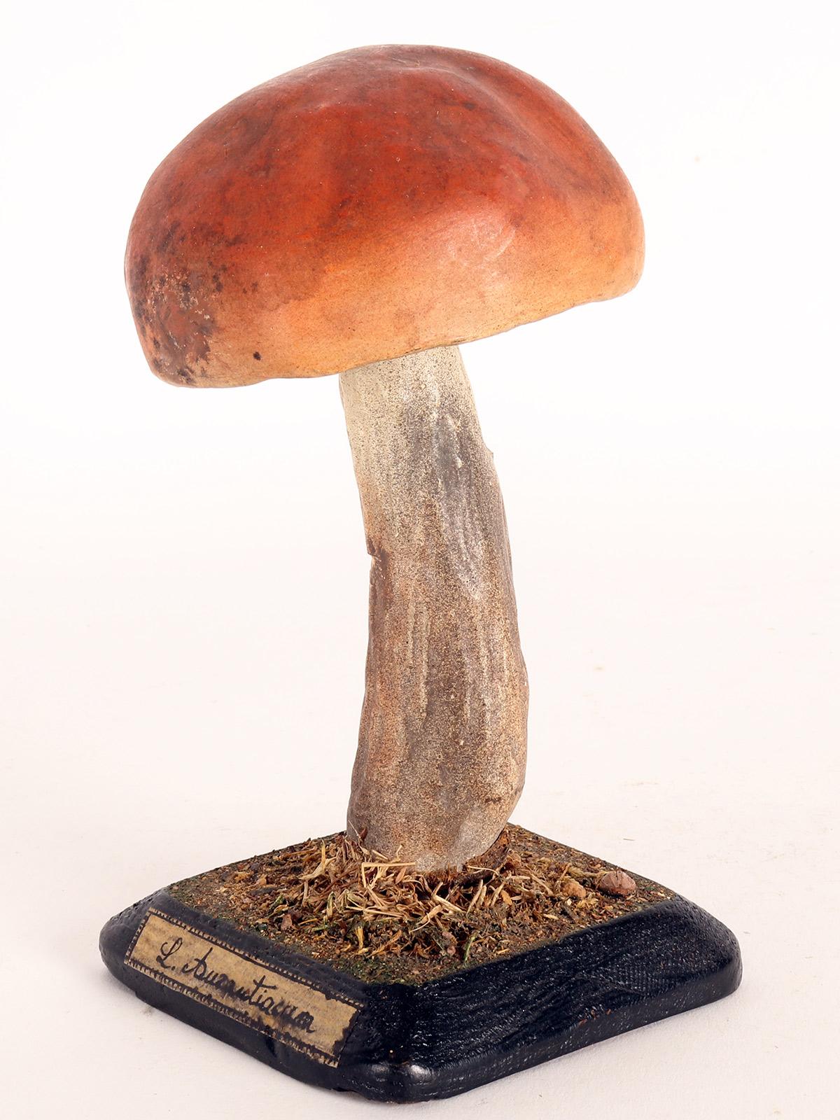 Italian Mushroom Model, Italy, 1890