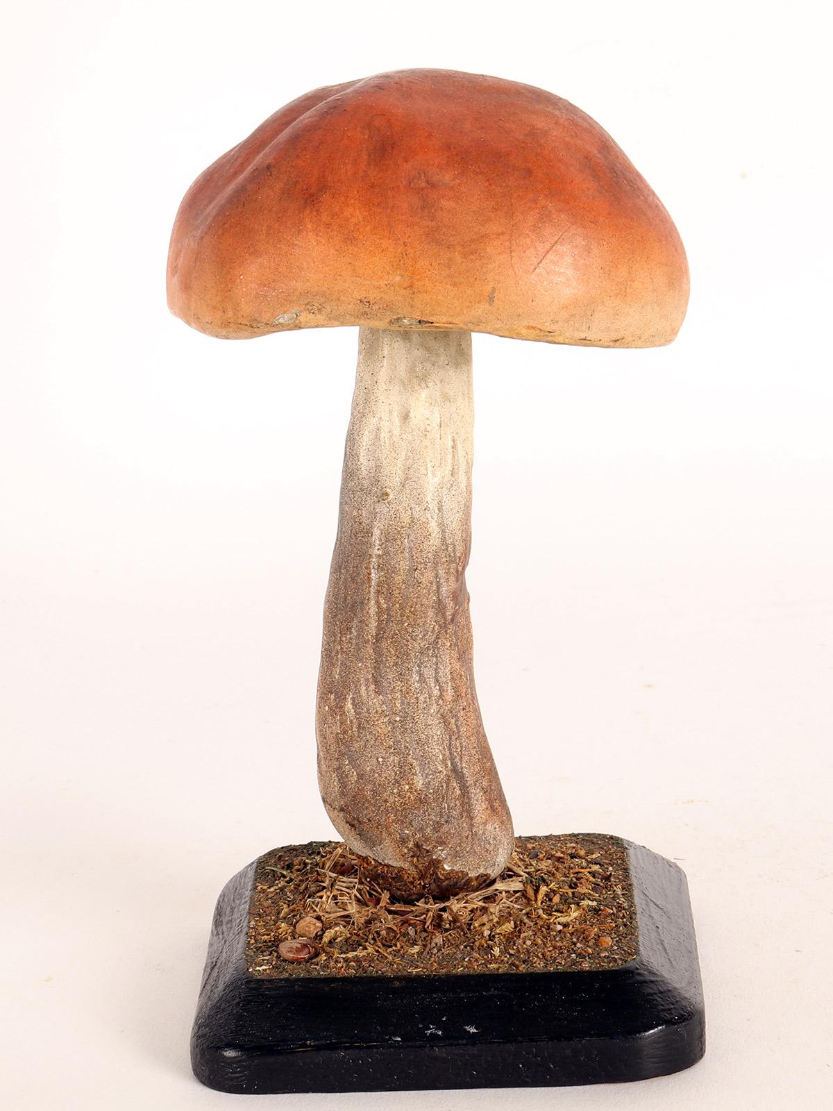 Mushroom Model, Italy, 1890 In Good Condition In Milan, IT