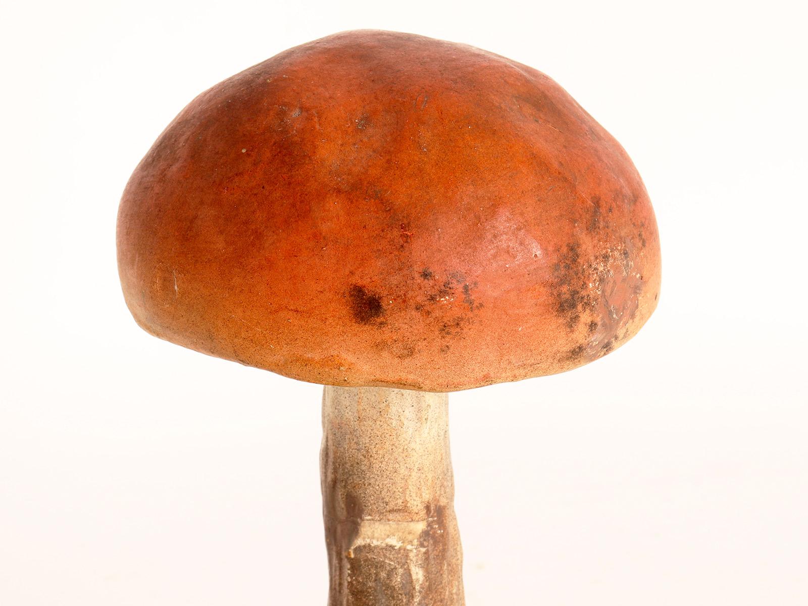 19th Century Mushroom Model, Italy, 1890