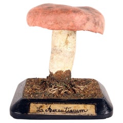 A mushroom model, Italy 1890.