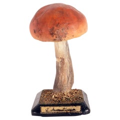 Mushroom Model, Italy, 1890