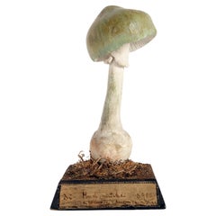 Antique Mushroom Model, Italy, 1890