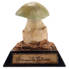 Mushroom Model, Italy, 1890