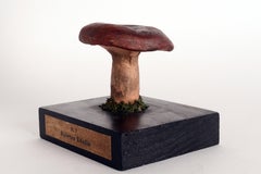 A mushroom model, Italy 1900.