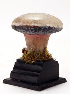 Pilz-Modell, Italien, 1900