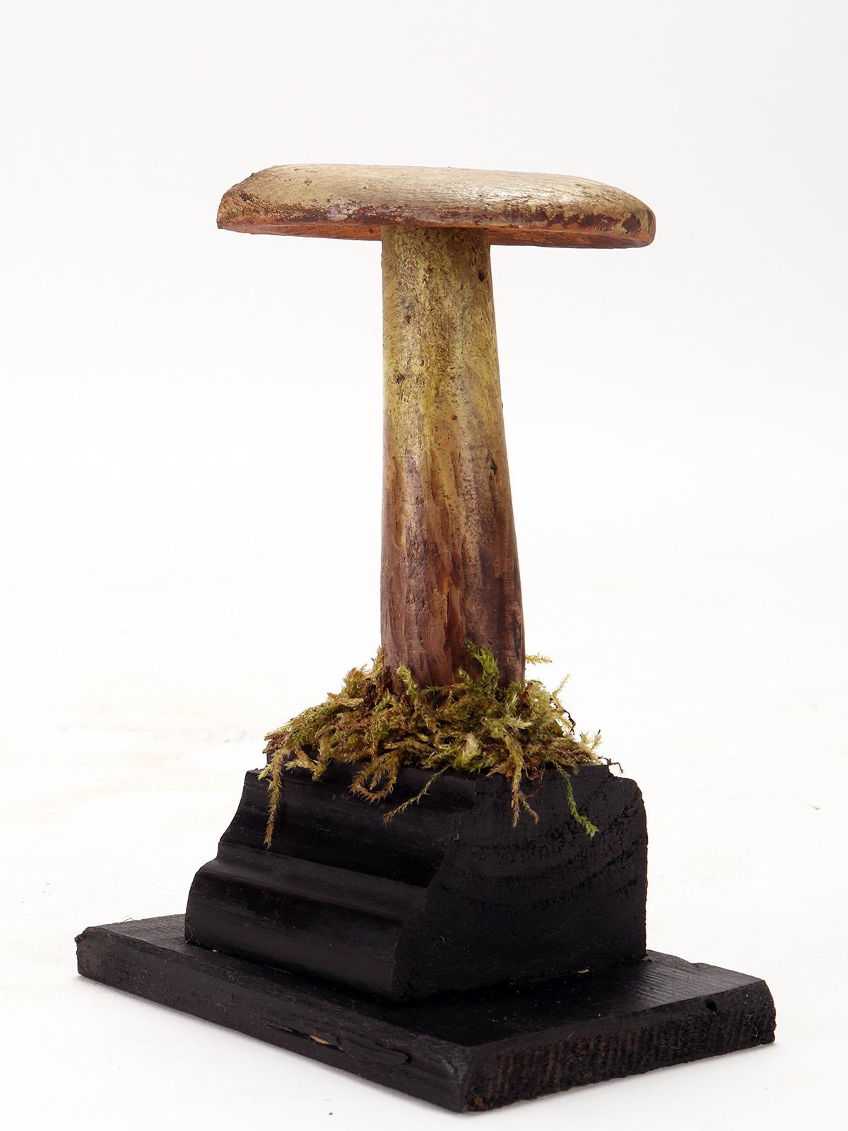 A diorama with 7 botanical models of various species of mushrooms, educational use, made of painted plaster and paper mache, mounted on rectangular wooden bases in black with moss and hay. The models are placed inside a black laquered wooden case,