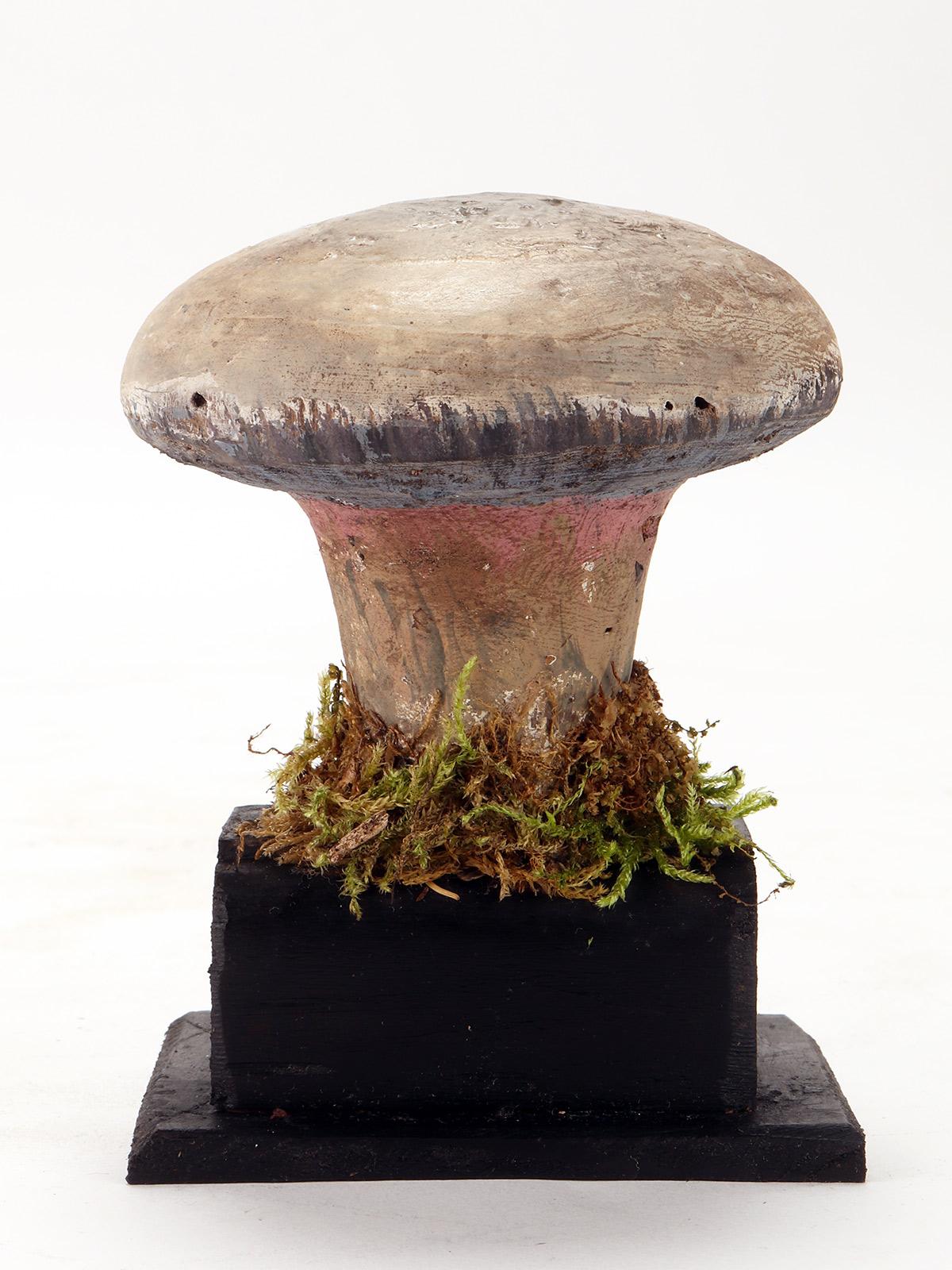 Italian Mushroom Model, Italy, 1900