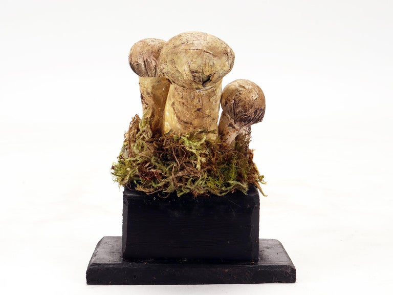Mushroom Model Italy 1900 At 1stDibs Mushroom model italy 1900 at 1stdibs