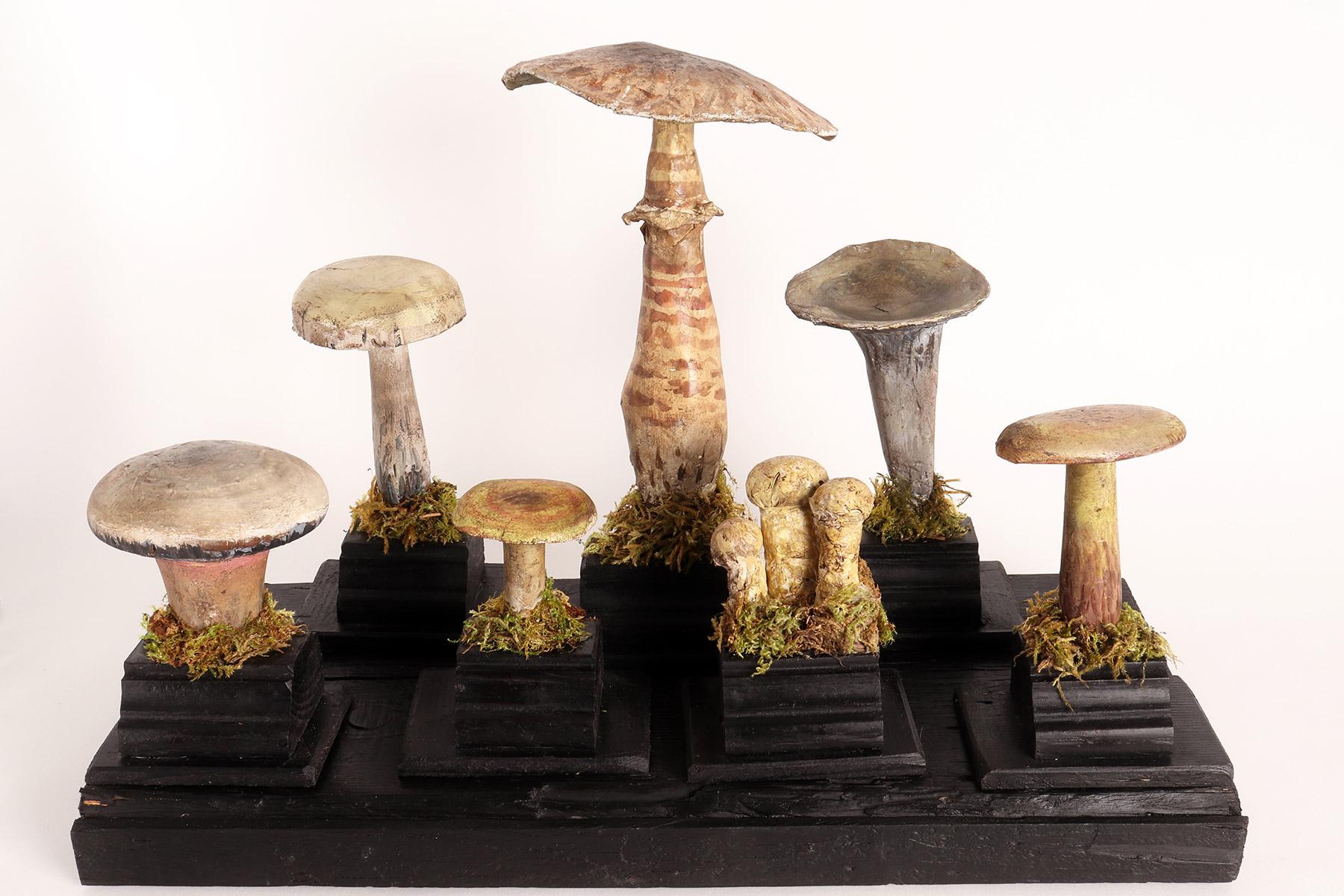Mushroom Model, Italy, 1900 1