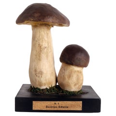 Antique Mushroom Model, Italy 1900