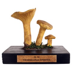 Antique Mushroom Model, Italy, 1900