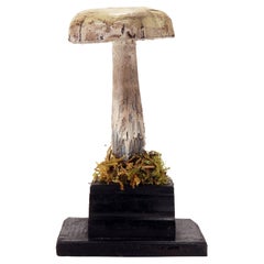 Mushroom Model, Italy 1900