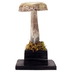 Mushroom Model, Italy 1900