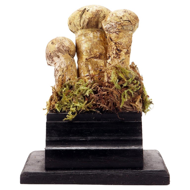 Mushroom Model Italy 1900 At 1stDibs Mushroom model italy 1900 at 1stdibs