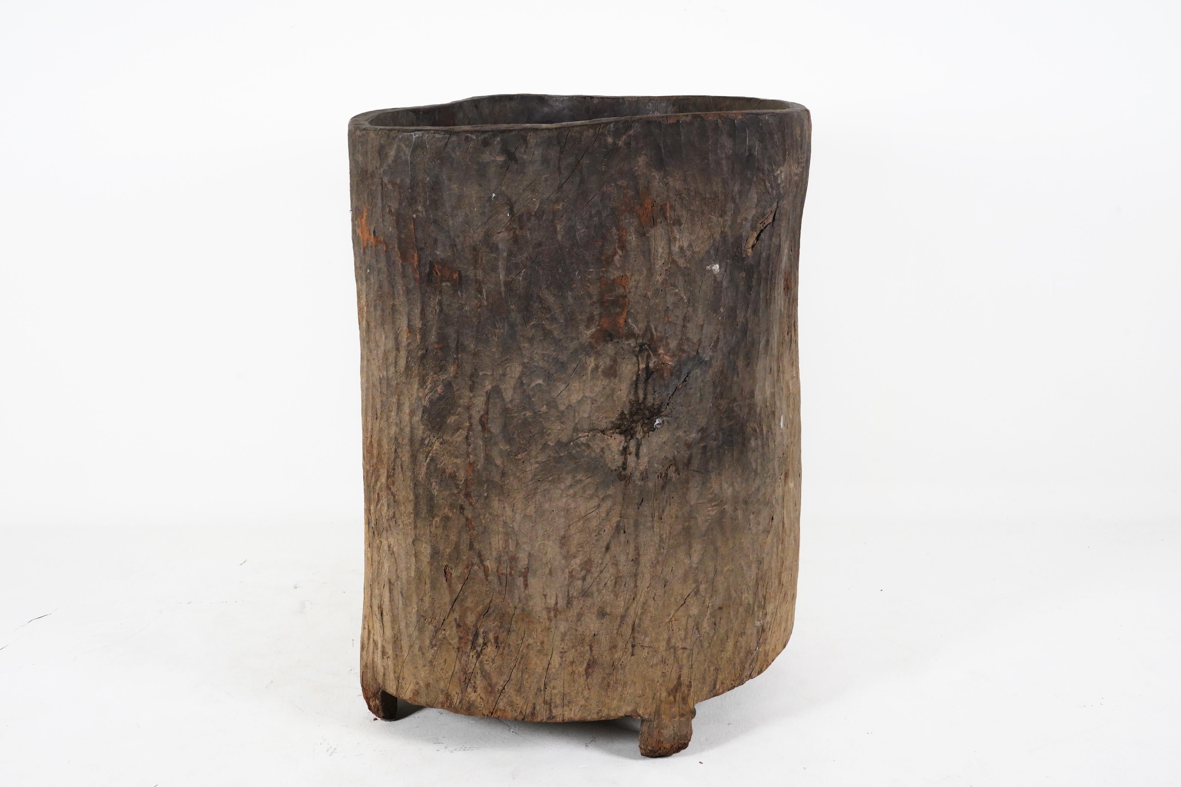 nagaland planter