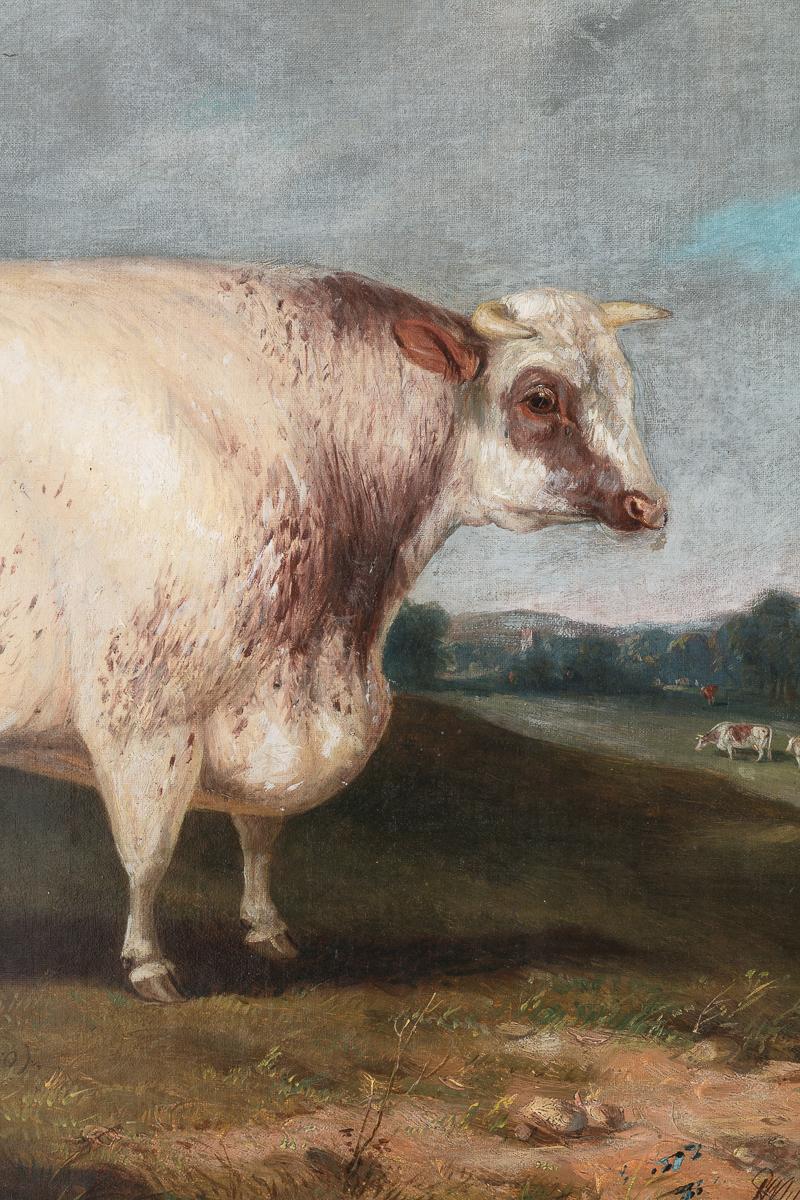 Öl auf Leinwand, von Richard Whitford (1821-1890); Ein naives Gemälde eines englischen Preisstiers

In einer schön und friedlich komponierten pastoralen Landschaft, signiert Richard Whitford, 1872; (1821-1890), in Goldholzrahmen.

Zusätzliche