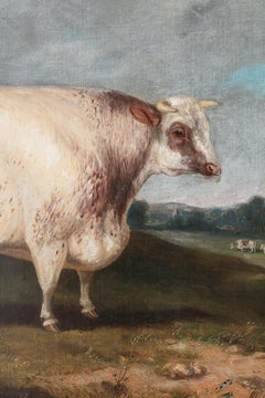 A Naive Painting of an English Prize Bull, Canvas Painting by Richard Whitford