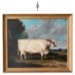A Naive Painting of an English Prize Bull, Canvas Painting by Richard Whitford