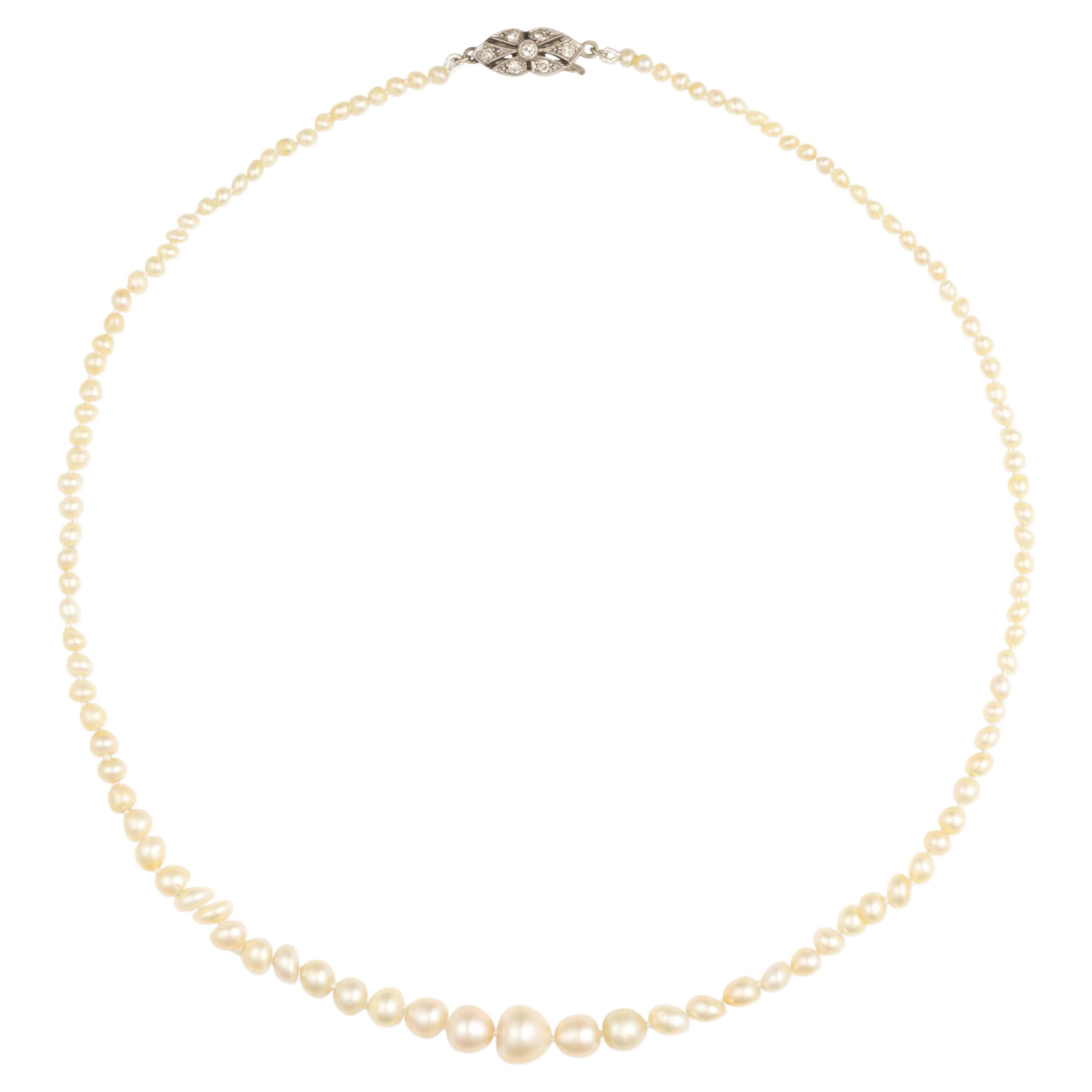 Collier de perles naturelles en or blanc et platine, vers 1910