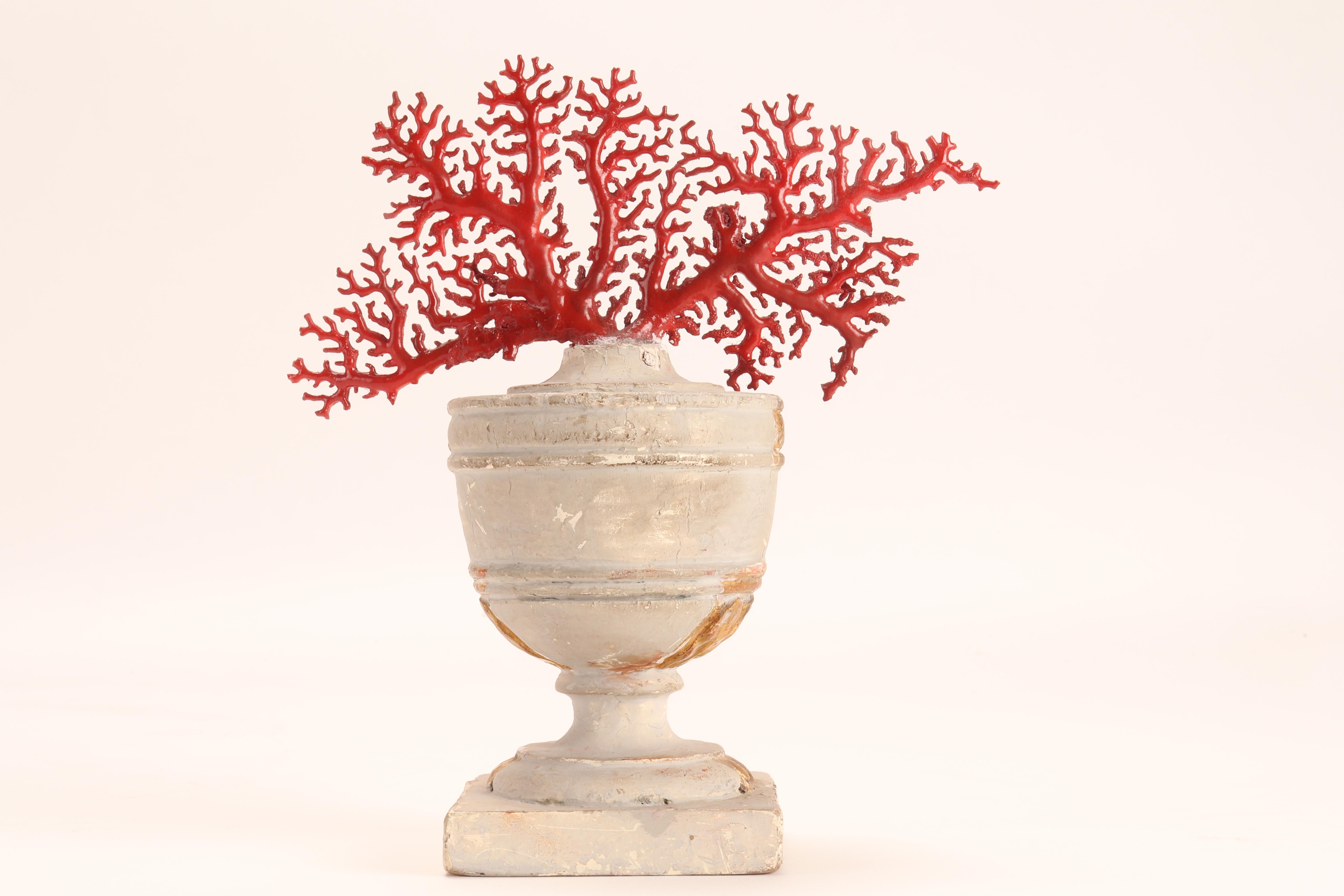Italian Natural Specimen, a Branch of Red Coral, Italy, 1870
